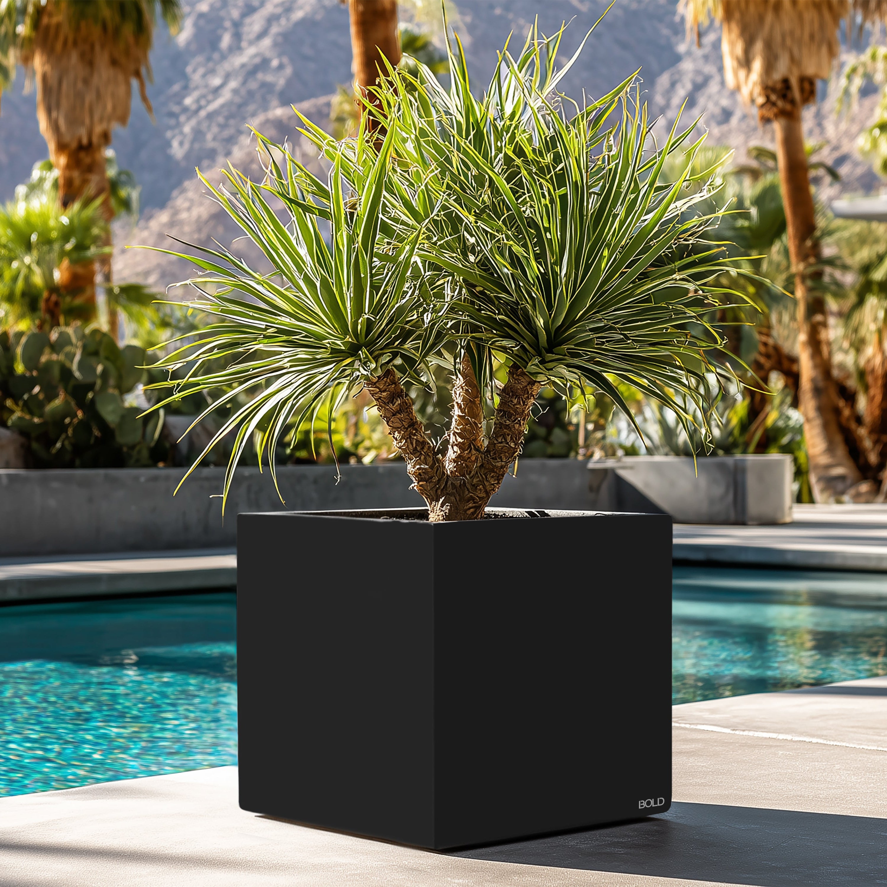 Black Square Planter