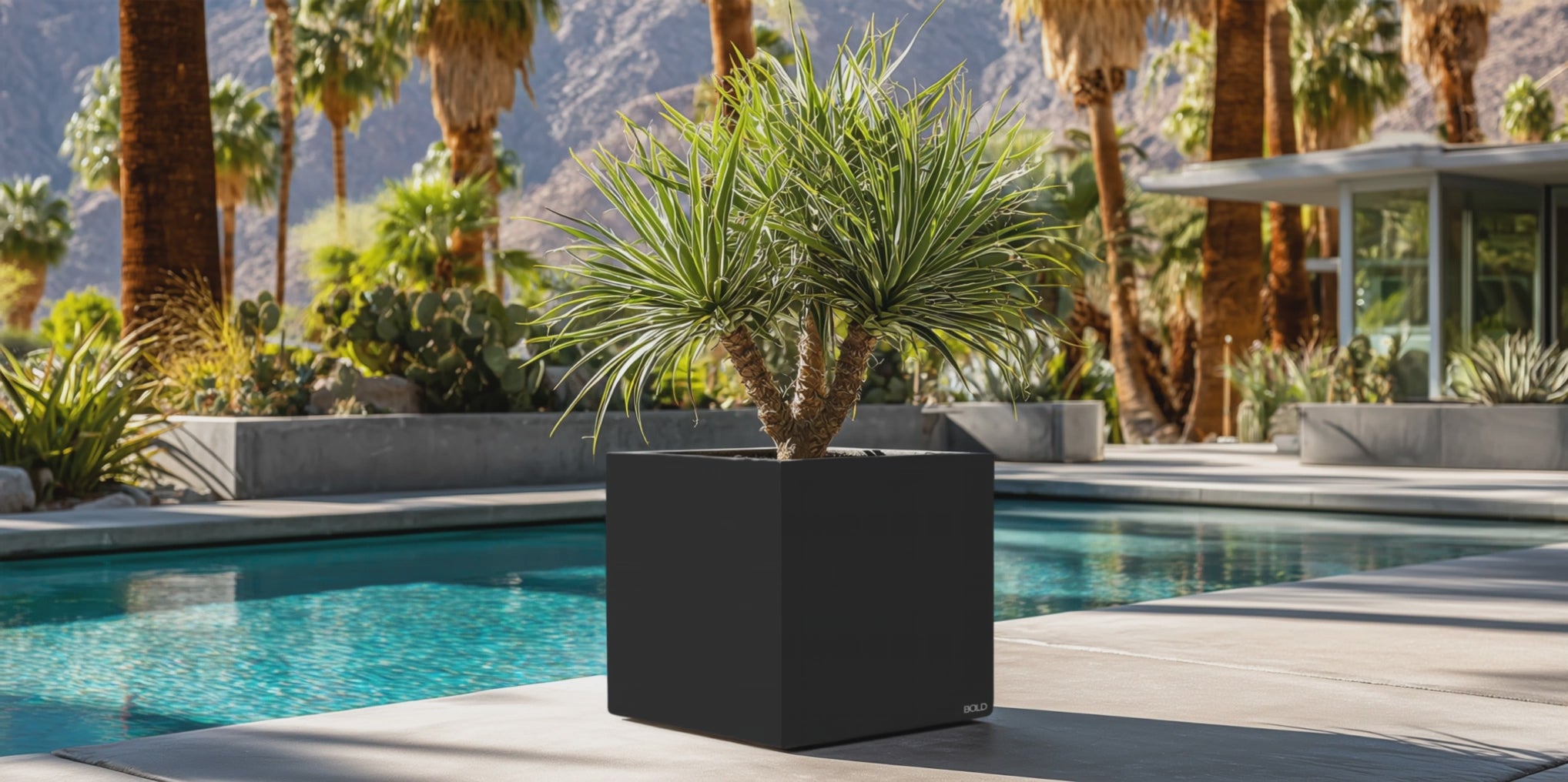 24 Inch Black Square Planter