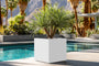 Square White Planter