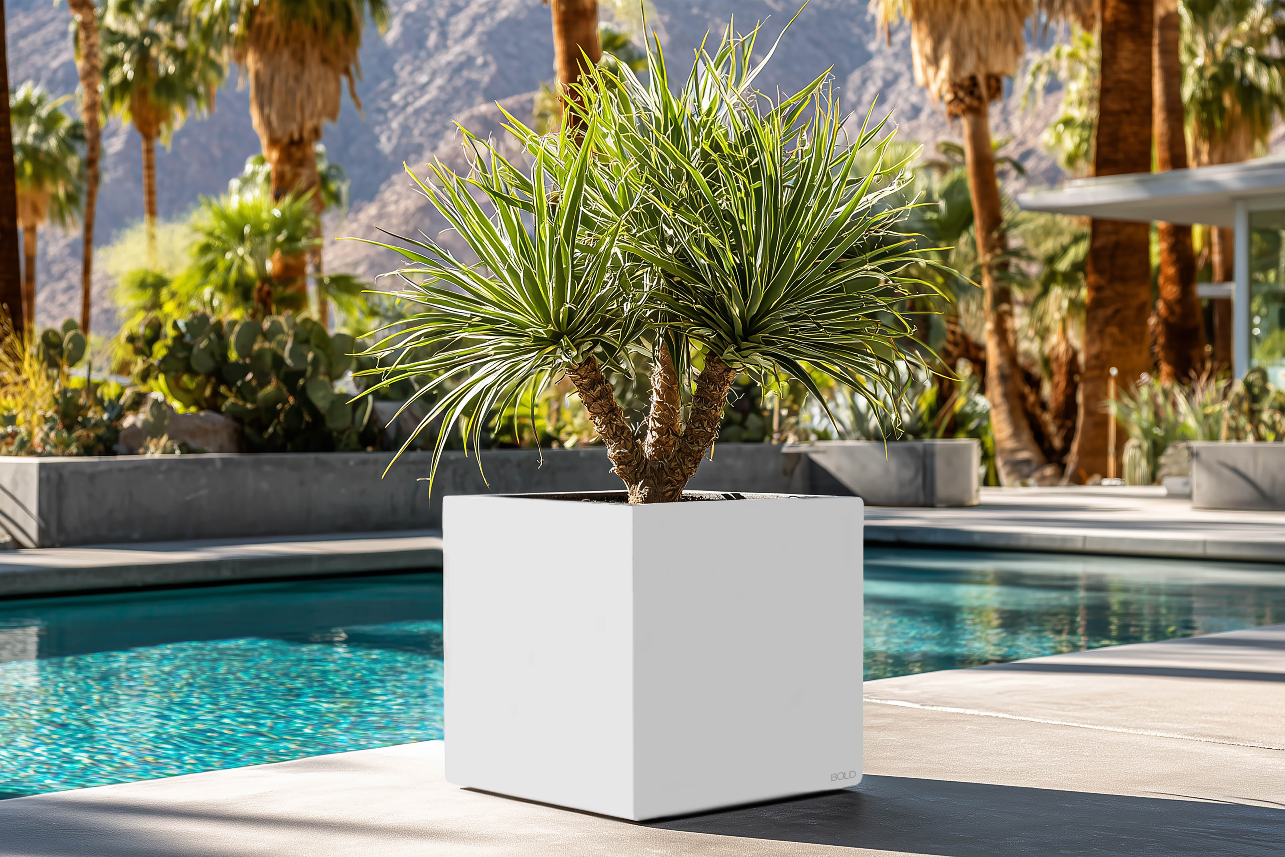 Square White Planter