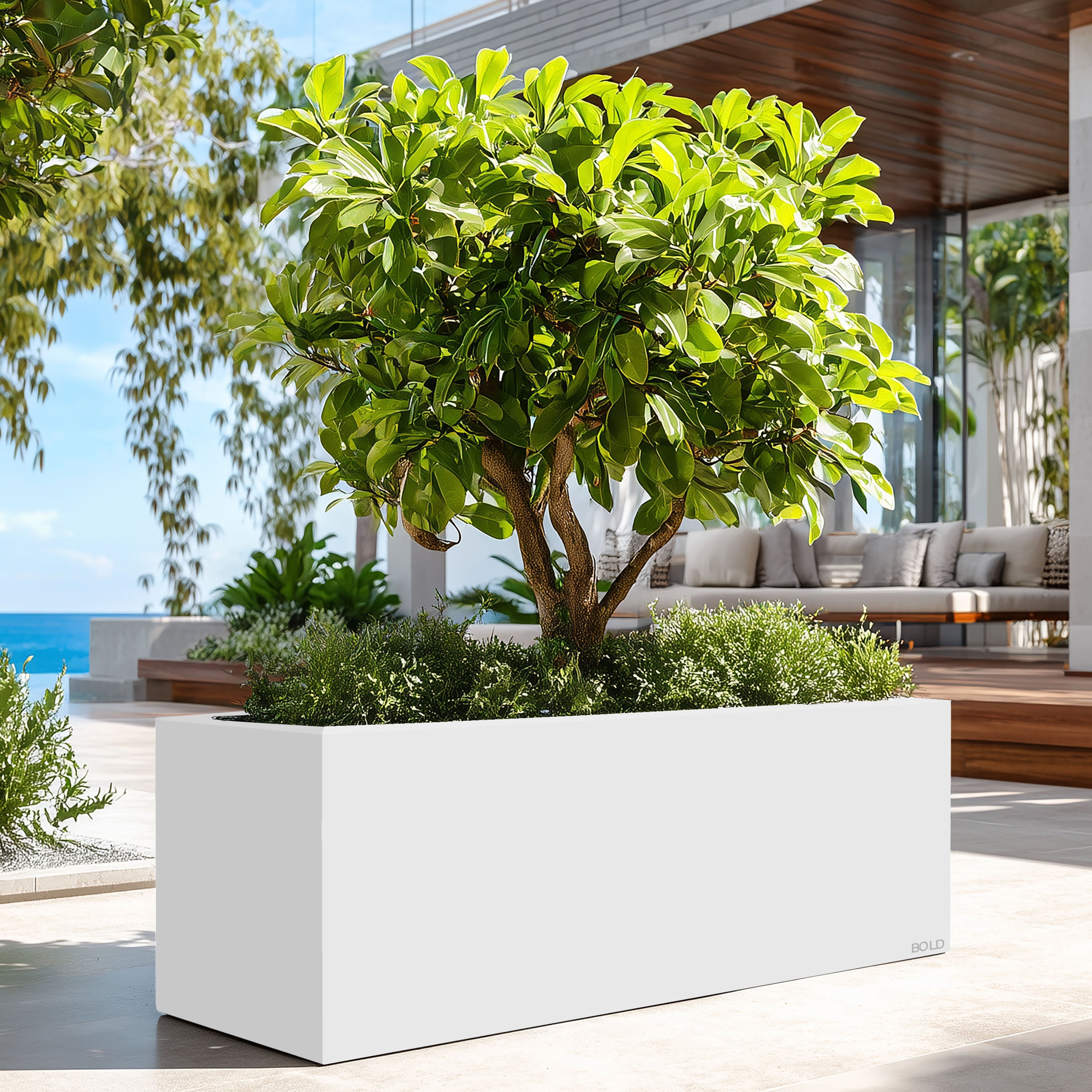 modern planters box 60 Inch Planter